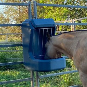 Horse going to eat from Nu-Tank Fence Feeder on Steel Fence.
