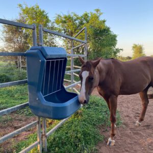 Nu-Tank Mountain Blue Fence Feeder with brown horse.