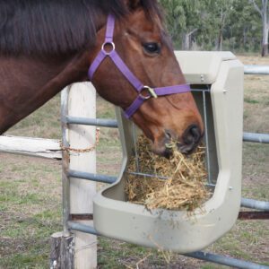 Brown horse eating from Beige Fence Feeder with hay brick.