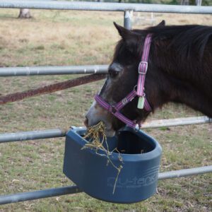 Pony eating from Nu-Tank D Feeder on steel fence.