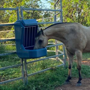 Horse eating from Nu-Tank Mountain Blue Fence Feeder.